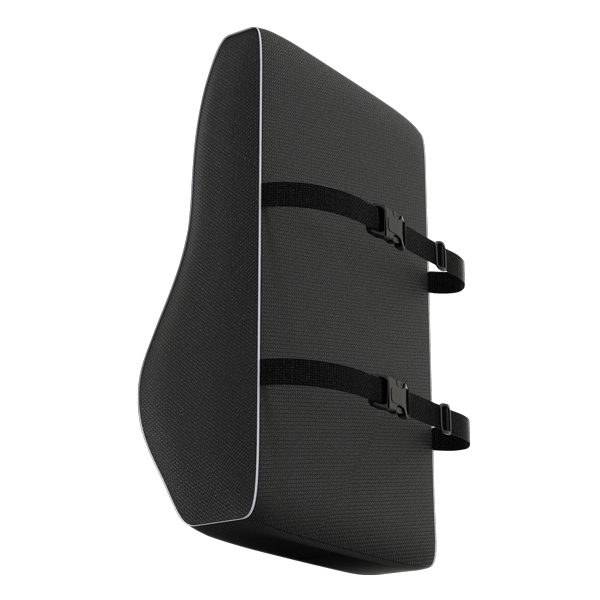 The Monolith | Lumbar back support cushion